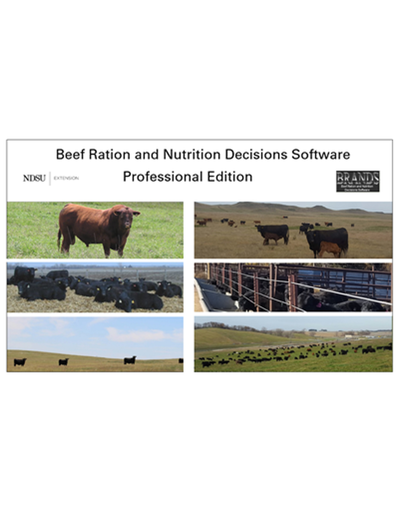 BRaNDS - North Dakota State Professional Edition image number 0