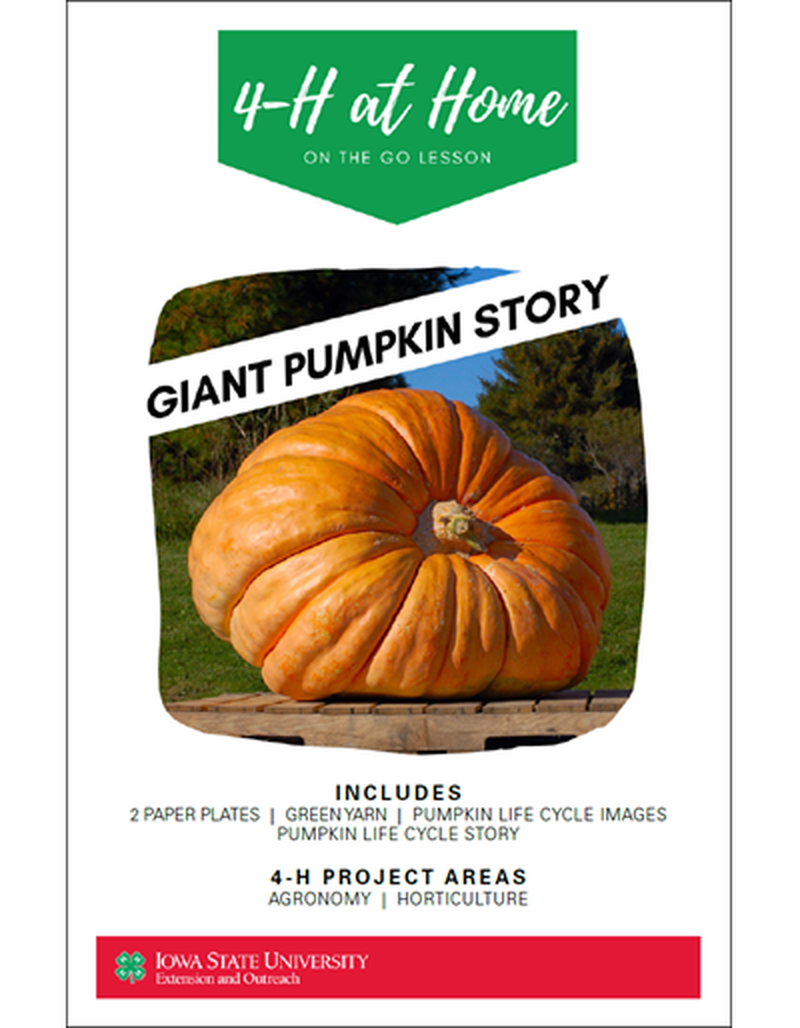 Giant Pumpkin Story -- On the Go Lesson image number 0