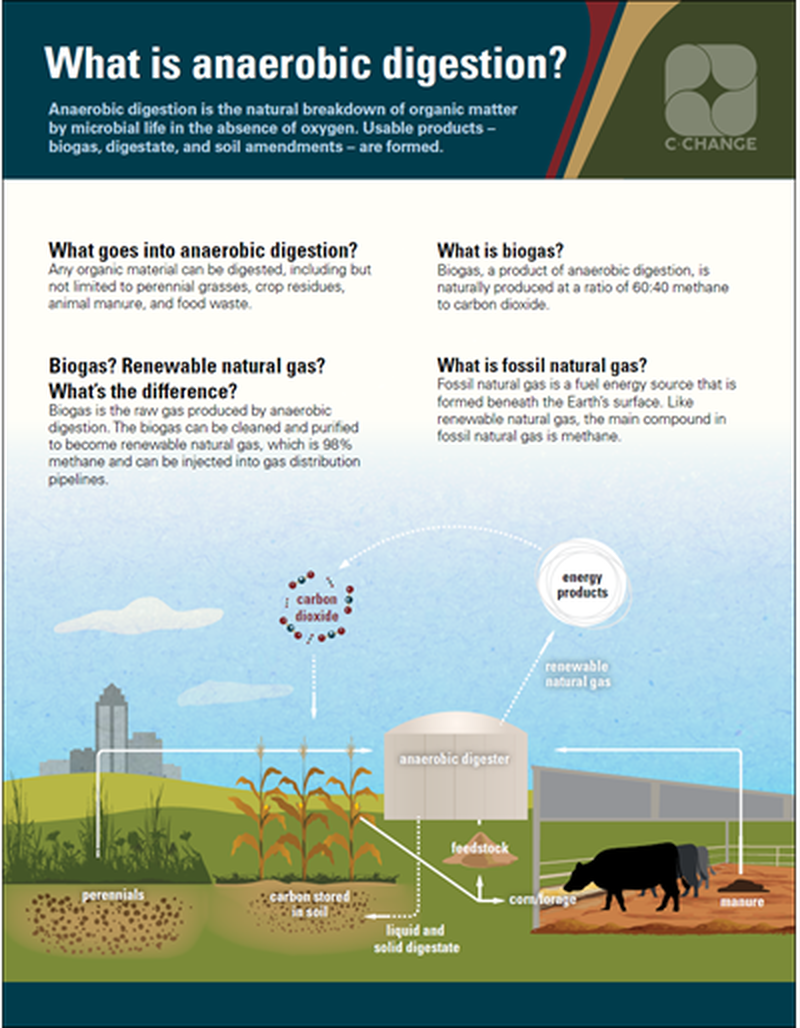 What is anaerobic digestion? image number 0