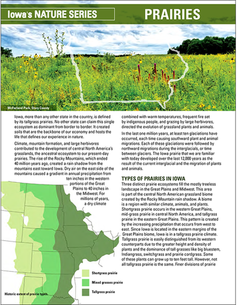 Prairies - Iowa's Nature Series image number 0