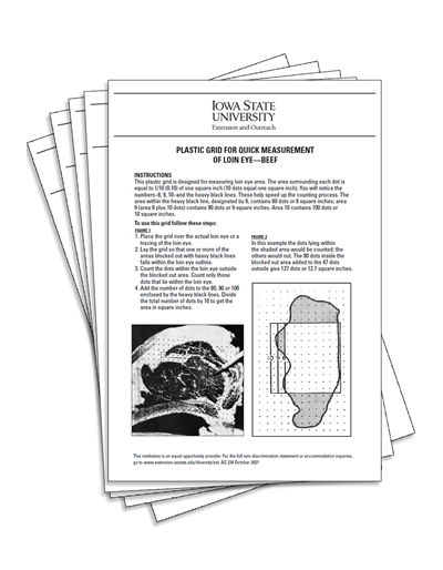 Plastic Grid for Quick Measurement of Loin Eye (Beef) with envelope (Unit=5)