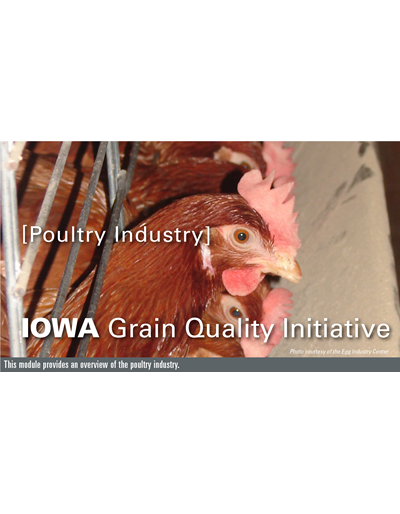 Poultry Industry Module
