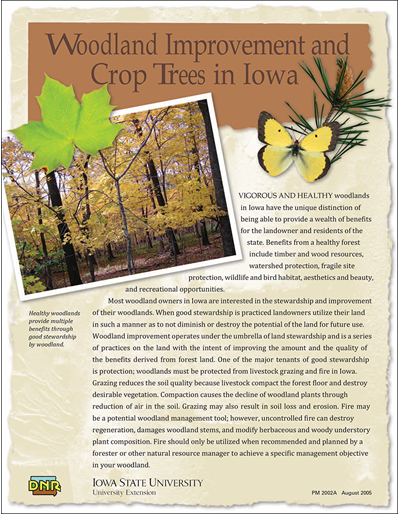 Woodland Improvement and Crop Trees in Iowa