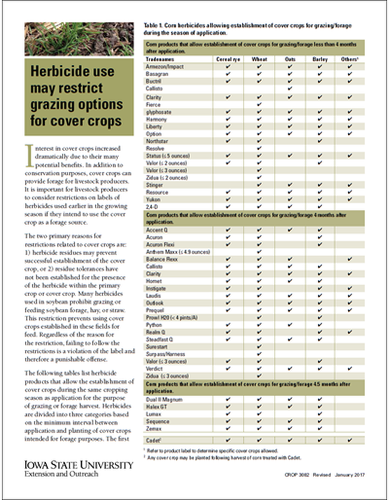 Herbicide use may restrict grazing options for cover crops image number 0