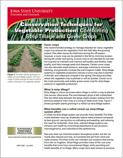 Conservation Techniques for Vegetable Production: Combining Strip-Tillage and Cover Crops