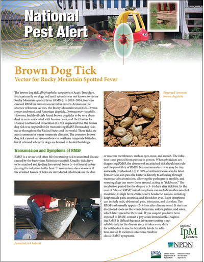 National Pest Alert - Brown Dog Tick (Vector for Rocky Mountain Spotted Fever) (Unit=50)