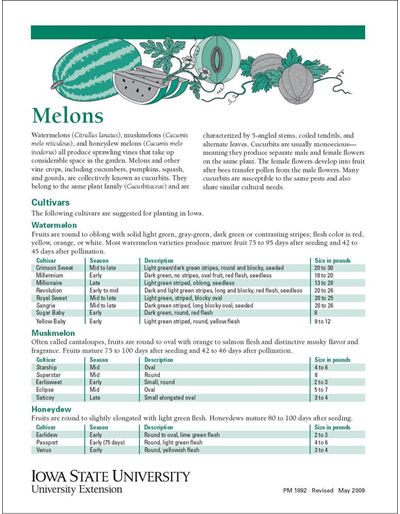 Melons