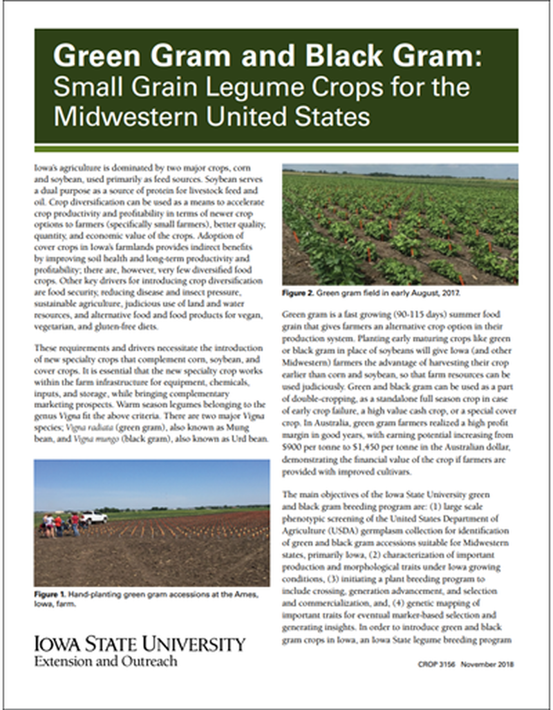 Green Gram and Black Gram: Small Grain Legume Crops for the Midwestern United States image number 0