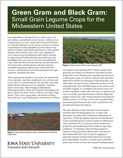 Green Gram and Black Gram: Small Grain Legume Crops for the Midwestern United States