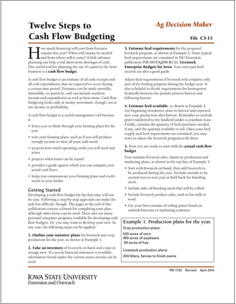 Twelve Steps to Cash Flow Budgeting image number 0