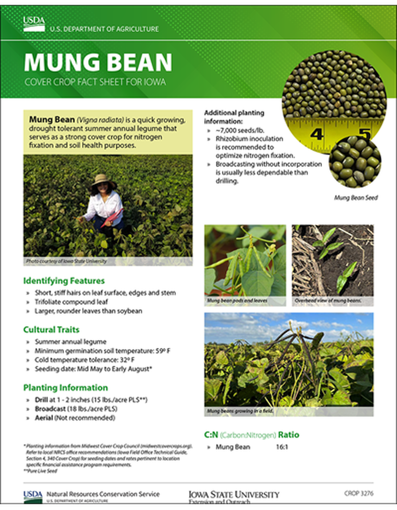 Mung Bean: Cover Crop Fact Sheet for Iowa image number 0