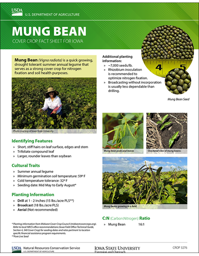 Mung Bean: Cover Crop Fact Sheet for Iowa