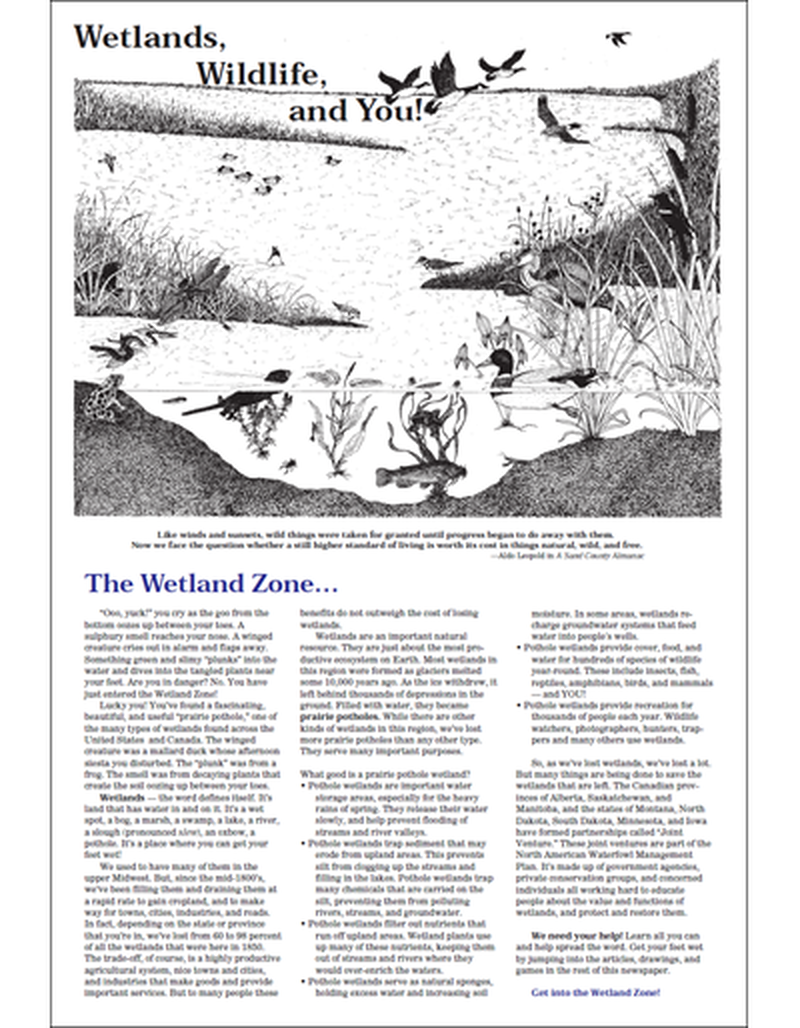 Wetlands, Wildlife and You image number 1