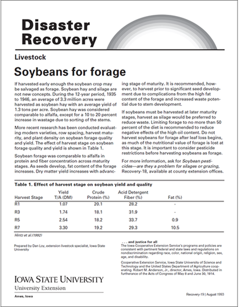 Livestock: Soybeans for Forage - Disaster Recovery Series image number 0