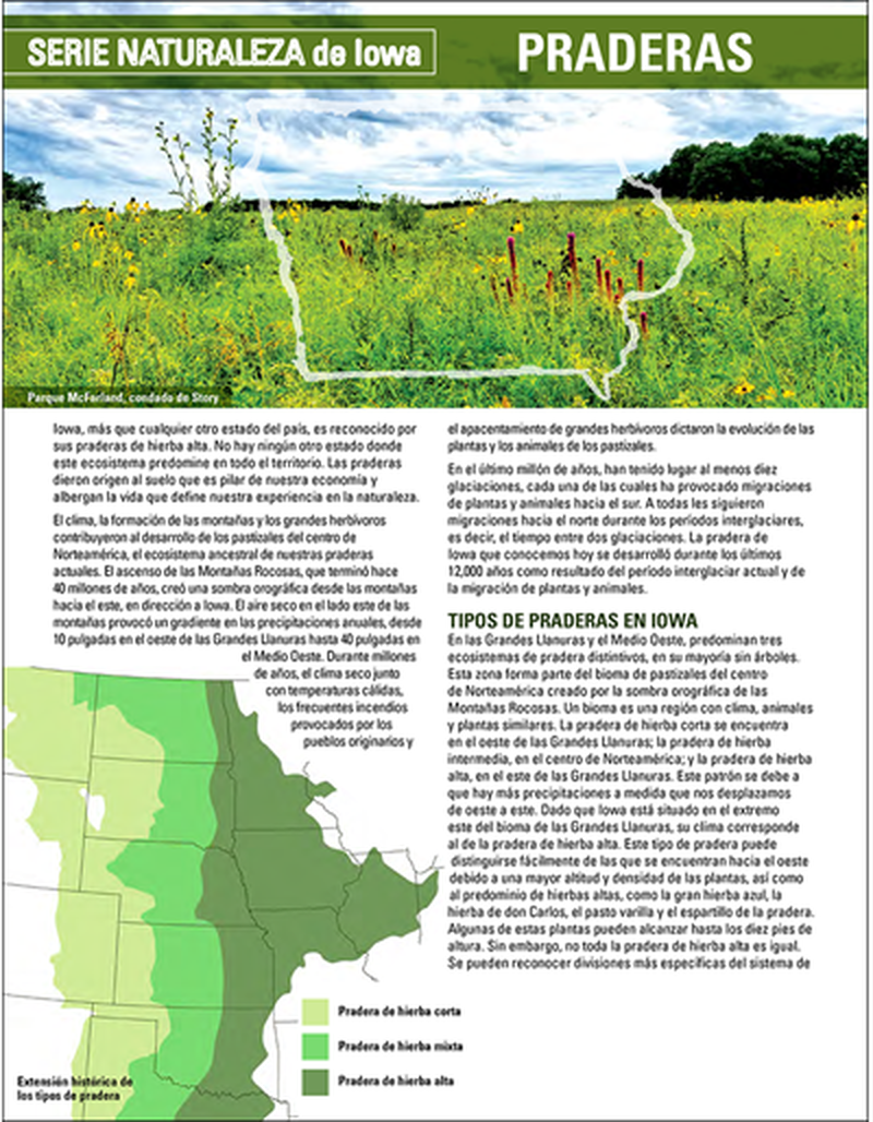 Prairies - Iowa's Nature Series image number 1