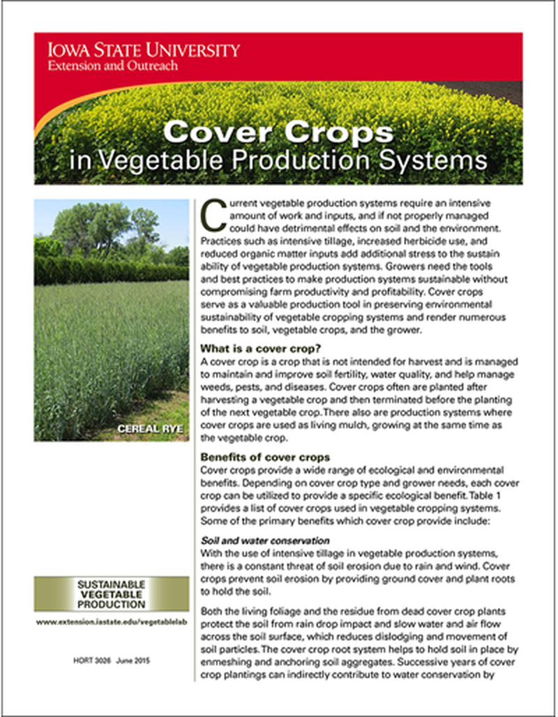 Cover Crops in Vegetable Production Systems image number 0