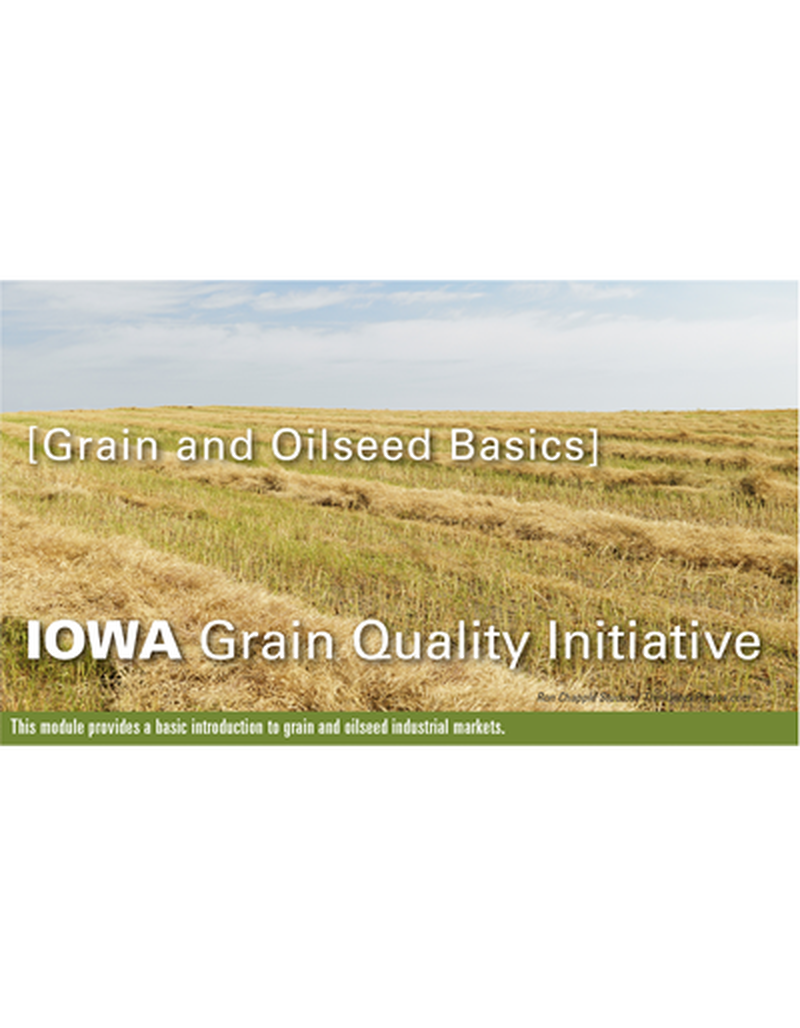 Grain & Oilseed Basics Module image number 0