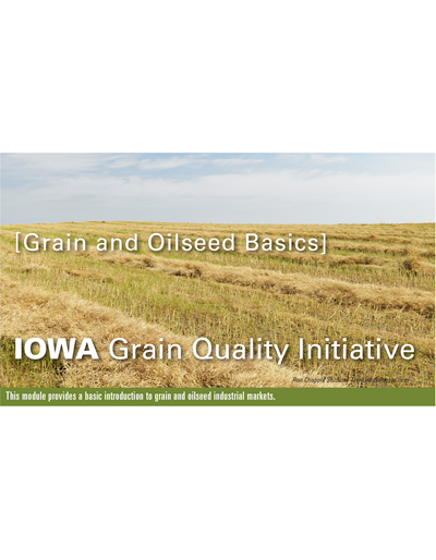 Grain & Oilseed Basics Module