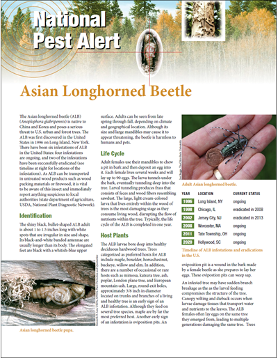 National Pest Alert - Asian Longhorned Beetle