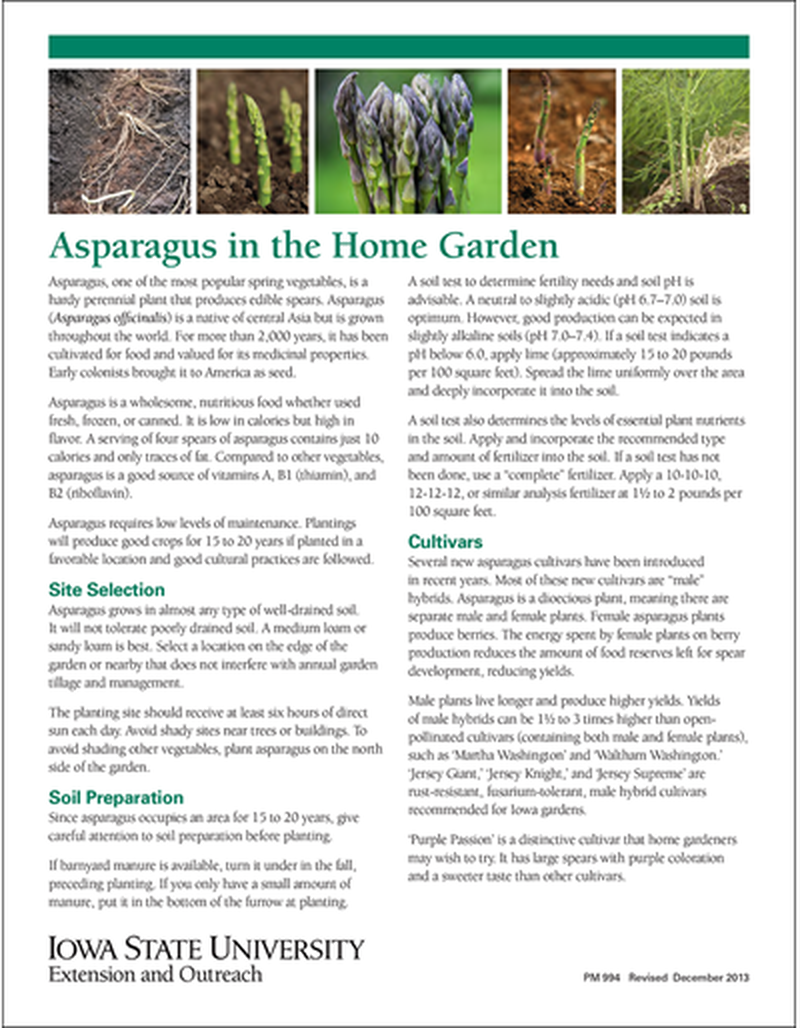 Asparagus in the Home Garden image number 0