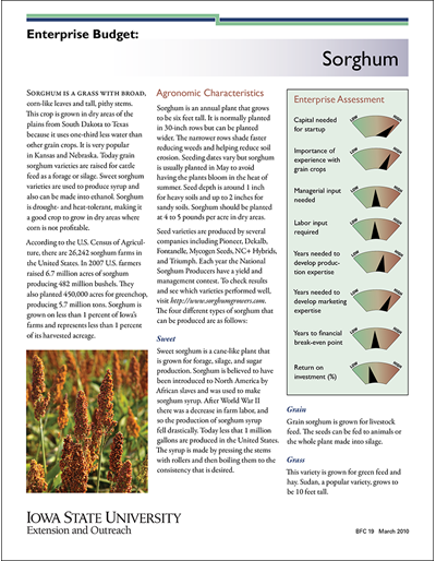 Enterprise Budget: Sorghum