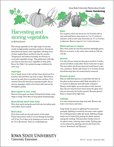 Harvesting and Storing Vegetables
