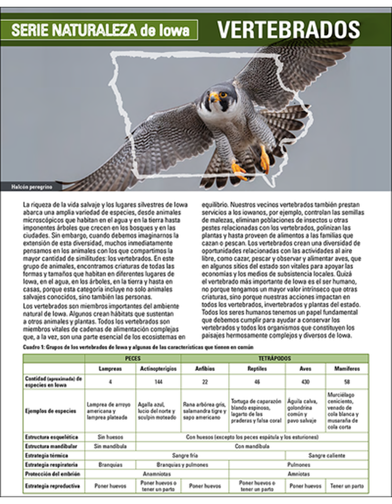 Vertebrates - Iowa's Nature Series image number 1
