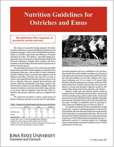 Nutrition Guidelines for Ostriches and Emus