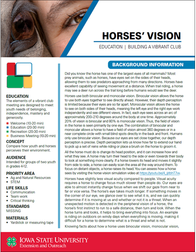 Horse's Vision -- Vibrant Club Activity