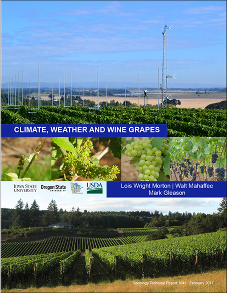 Climate, Weather and Wine Grapes image number 0