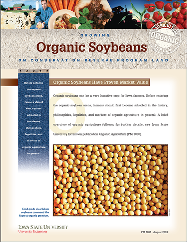 Growing Organic Soybeans on Conservation Reserve Program Land image number 0
