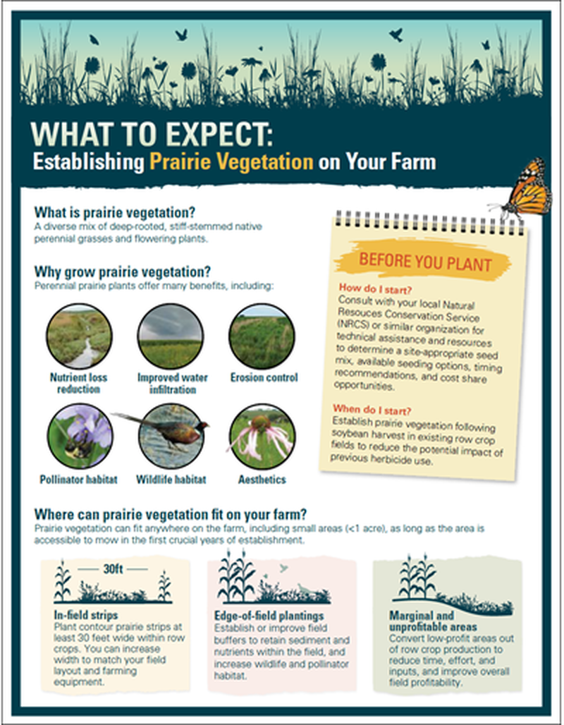 What to Expect: Establishing Prairie Vegetation on Your Farm image number 0