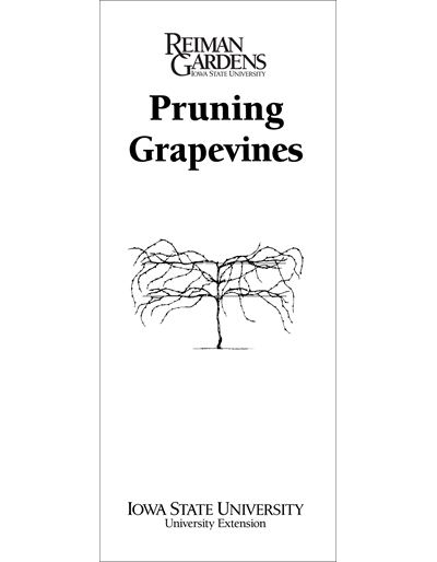 Pruning Grapevines -- Reiman Gardens