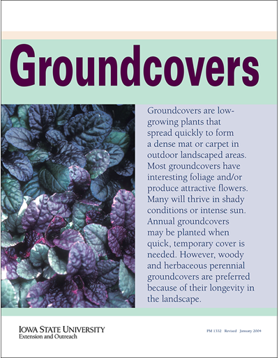 Groundcovers