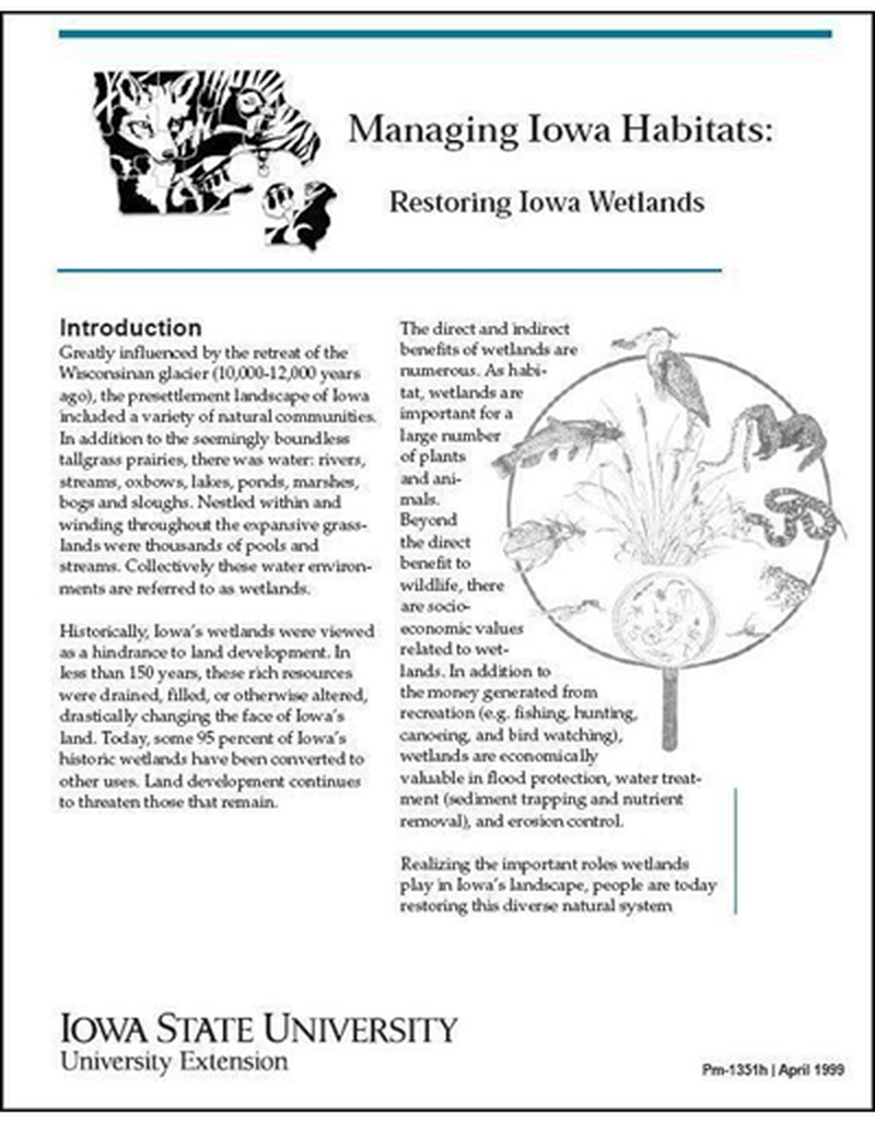 Restoring Iowa Wetlands - Managing Iowa Habitats image number 0