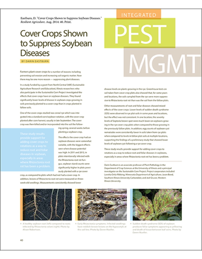 Cover Crops Shown to Suppress Soybean Diseases image number 0