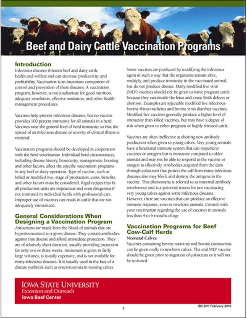 Beef and Dairy Cattle Vaccination Programs image number 0