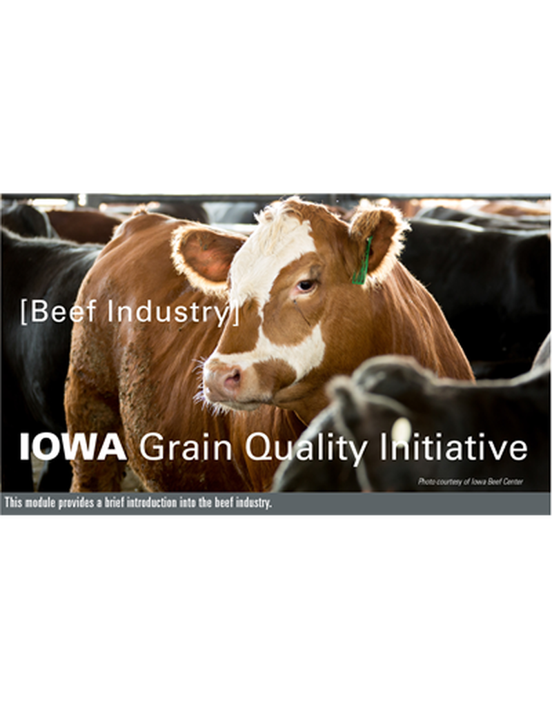Beef Industry Module image number 0