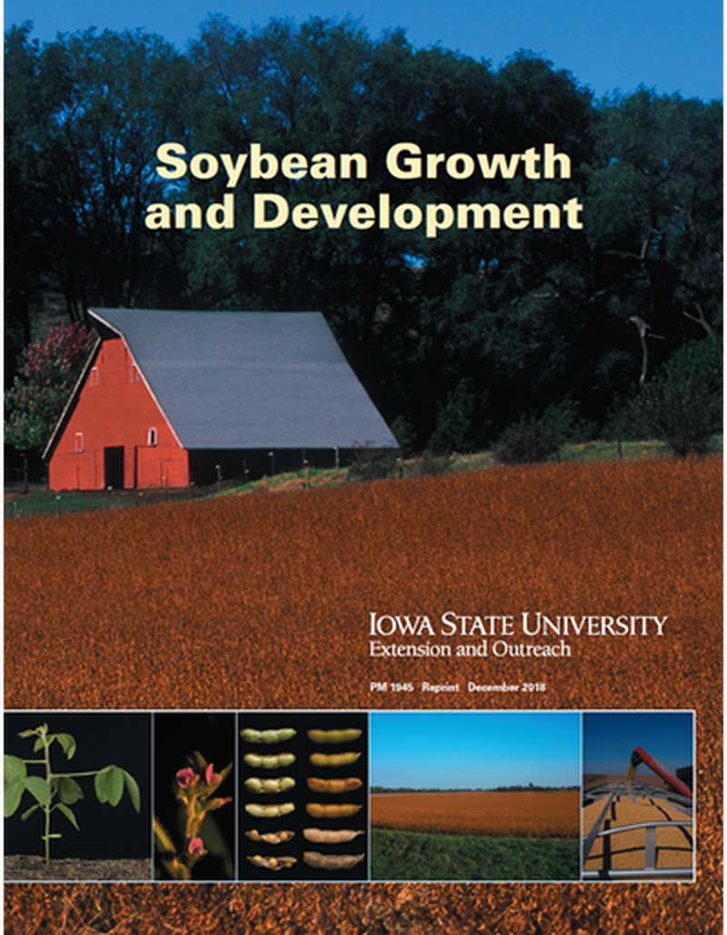 Soybean Growth and Development image number 0