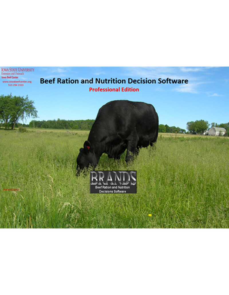 BRaNDS - Professional Edition image number 0