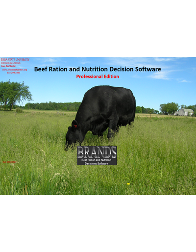 BRaNDS - Professional Edition
