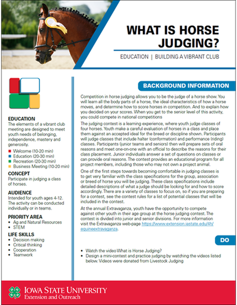 What is Horse Judging? -- Vibrant Clubs image number 0