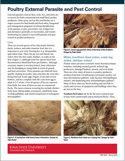 Poultry External Parasite and Pest Control
