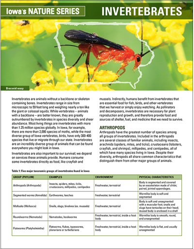 Invertebrates - Iowa's Nature Series