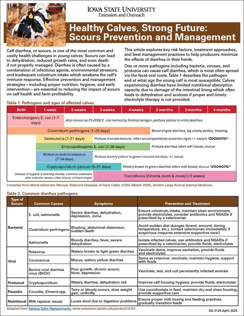 Healthy Calves, Strong Future: Scours Prevention and Management image number 0