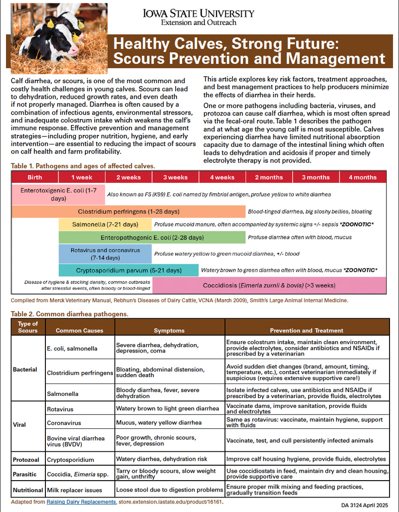 Healthy Calves, Strong Future: Scours Prevention and Management image number 0