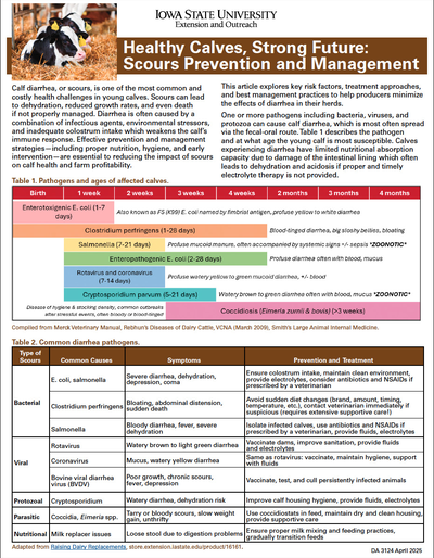 Healthy Calves, Strong Future: Scours Prevention and Management