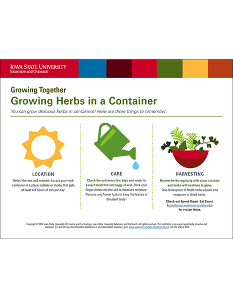 Growing Herbs in a Container image number 0