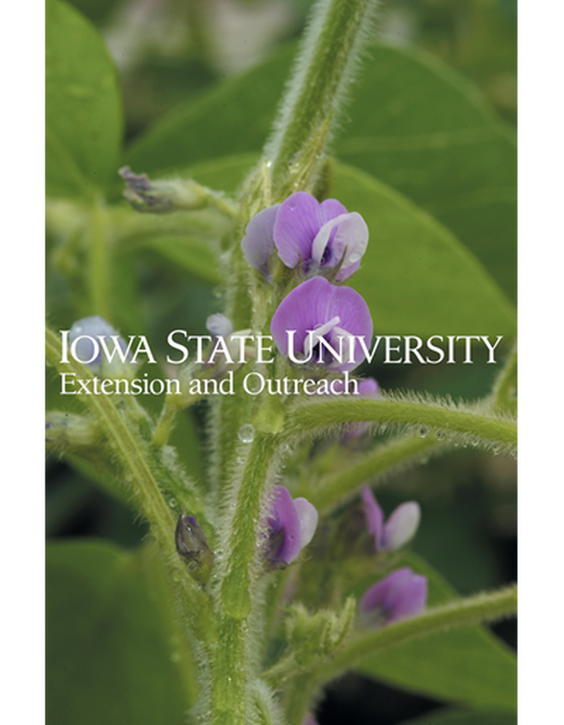 Floral cluster on stem - Soybean image number 0