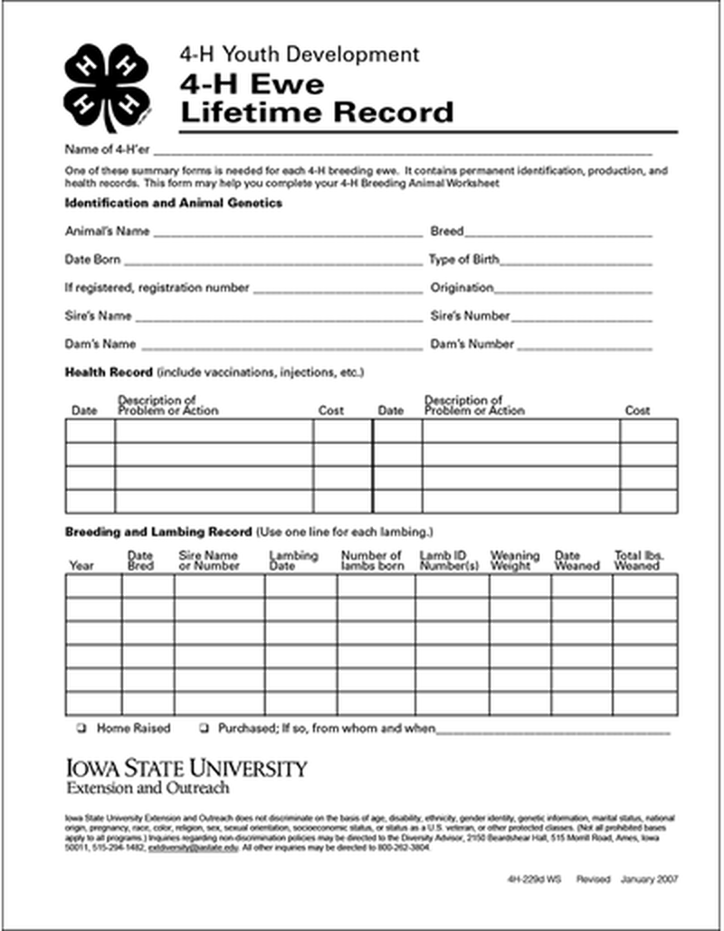 Record Keeping Lifetime Record Sheep image number 0